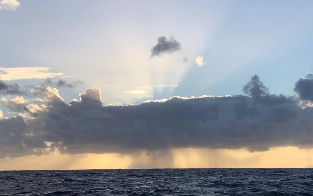 Kampf mit den Elementen