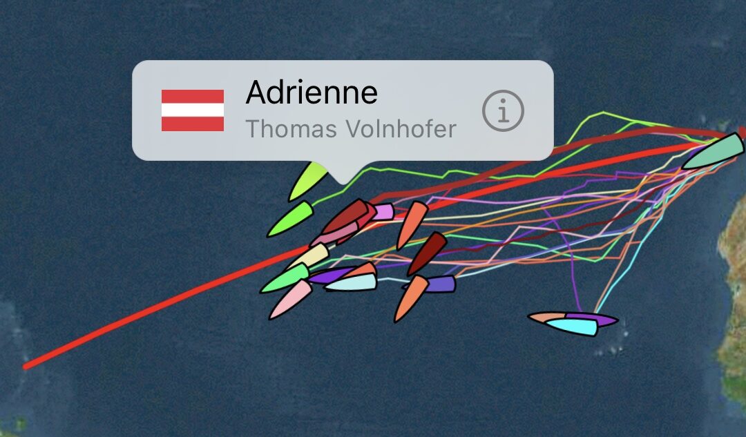 Squall’s und Mahi Mahi